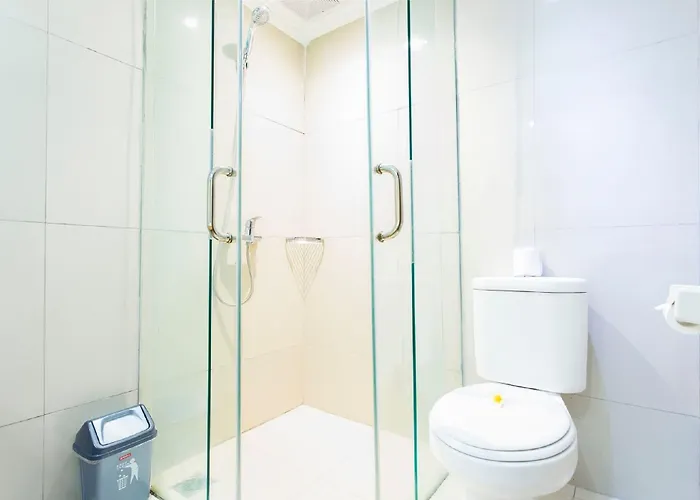 Hotel Maharani 3*