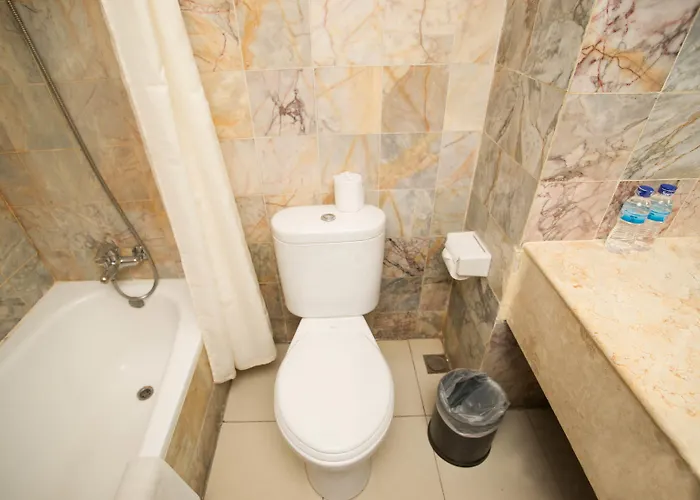 Hotel Maharani 3*